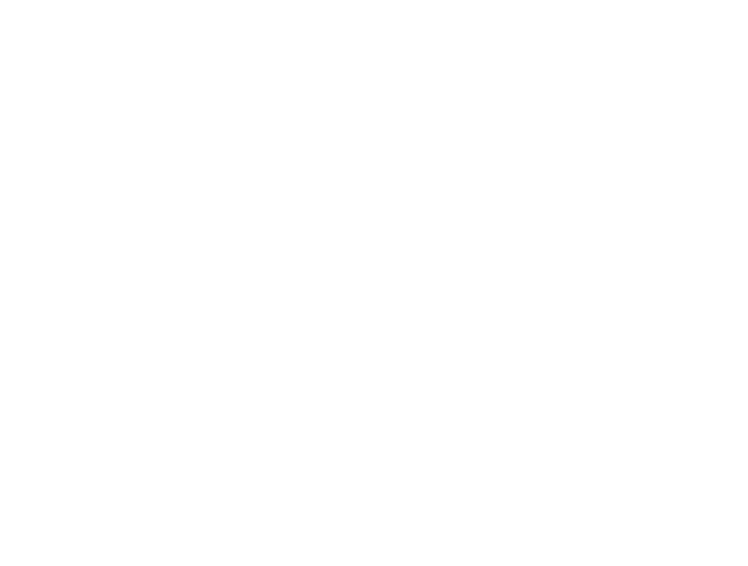 AYVYA Consulting